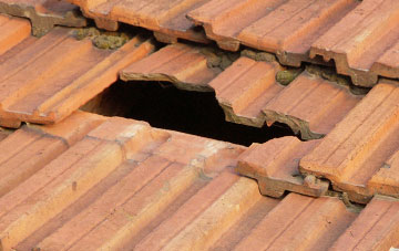 roof repair Maypole Green